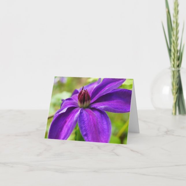 Carte Clematis Bonjour ! (Devant)