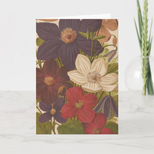 Carte Clematis   George Nicholson