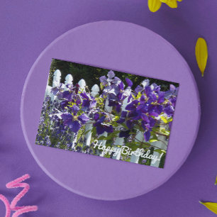 Carte Clematis violet sur la clôture blanche Fleur Anniv