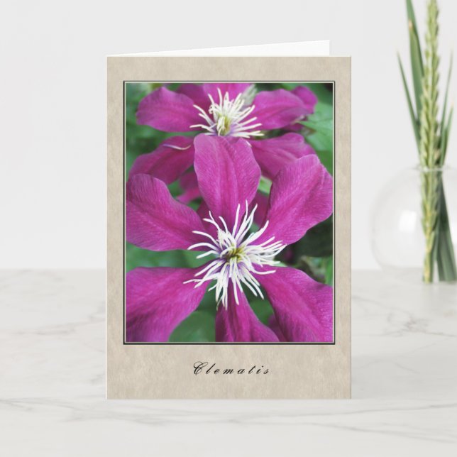 Carte Clématite - série florale (Devant)