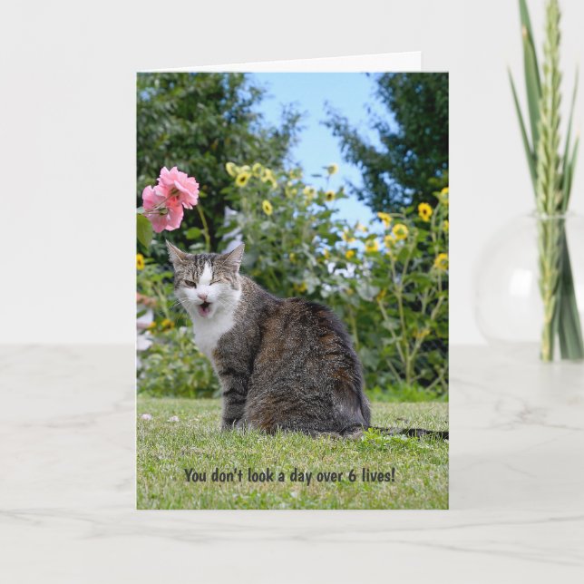 Carte cligner de l'oeil le chat tigré pour (Devant)
