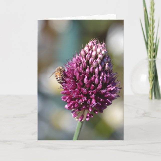 Carte Clocher rose (Devant)