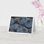 Carte Close-up de la figure Fruit<br><div class="desc">Close-up of Fig. Fruit Greeting Card. You can easily customize this product for free if you would like to add wording or change the color of the background.</div>