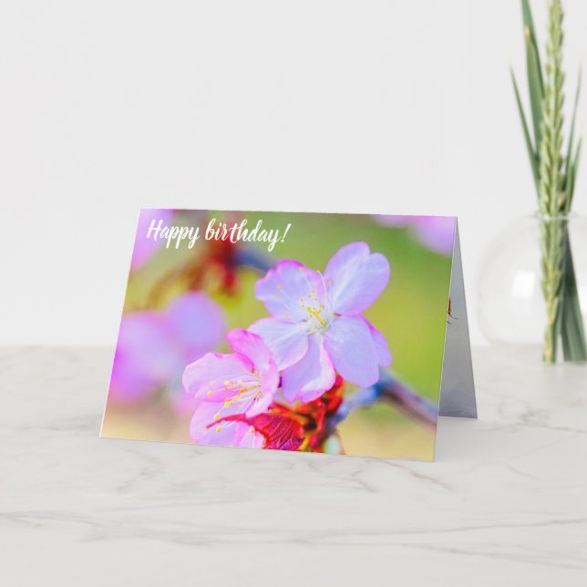 Carte Closeudo Vue Sur Les Fleurs De Cerisiers De Sakura (Devant)