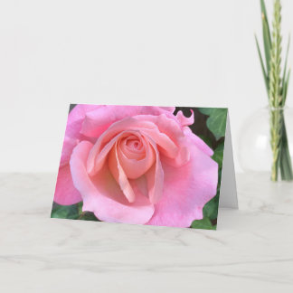 Carte Closeuse rose