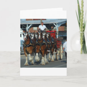 Carte Clydesdale 6 cheval hitch