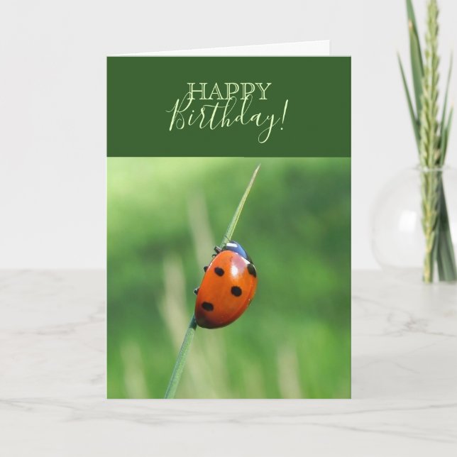Carte Coccinelle sur une brin d'herbe (Devant)