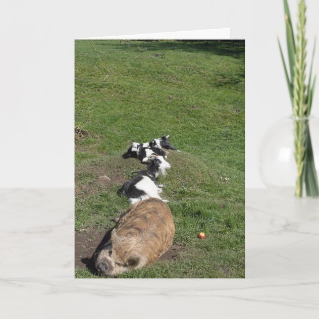 Carte Cochon et chevreaux couchés au soleil (Devant)