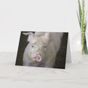 Carte Cochon rose Toutes les occasions