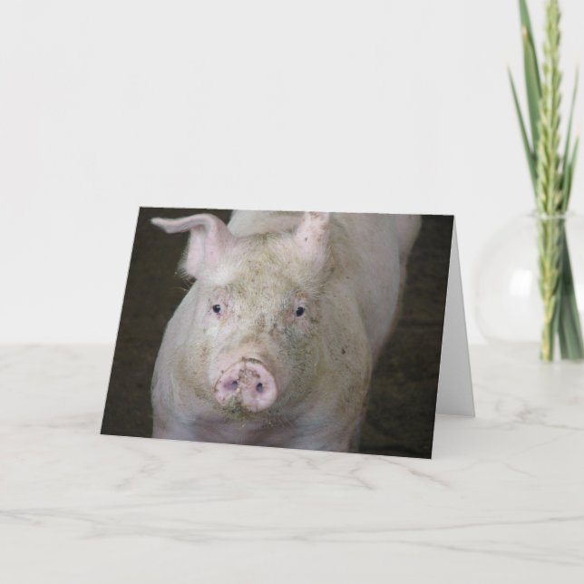 Carte Cochon rose Toutes les occasions (Devant)