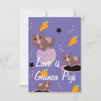 Cochons d'Inde mignons en exercice