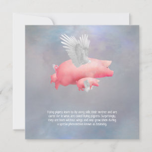 Carte Cochons volants
