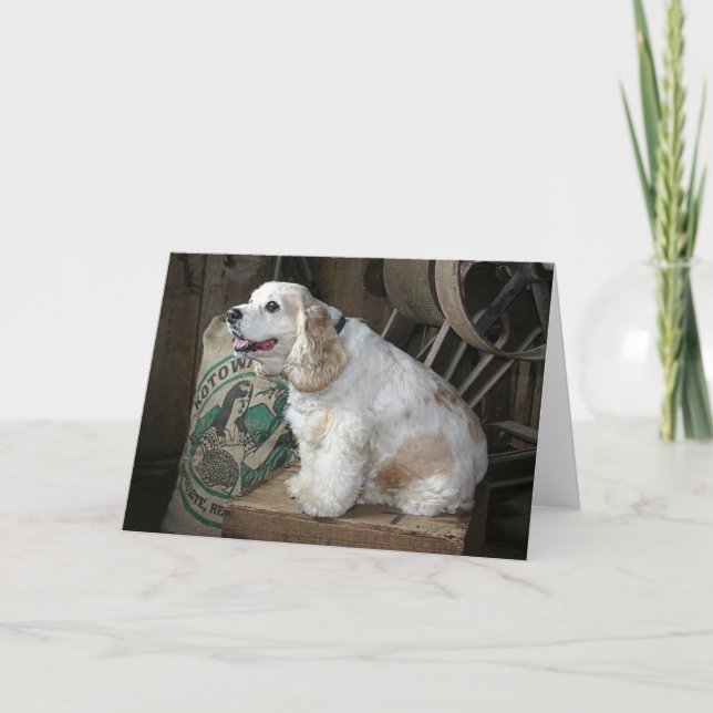 Carte Cocker (Devant)