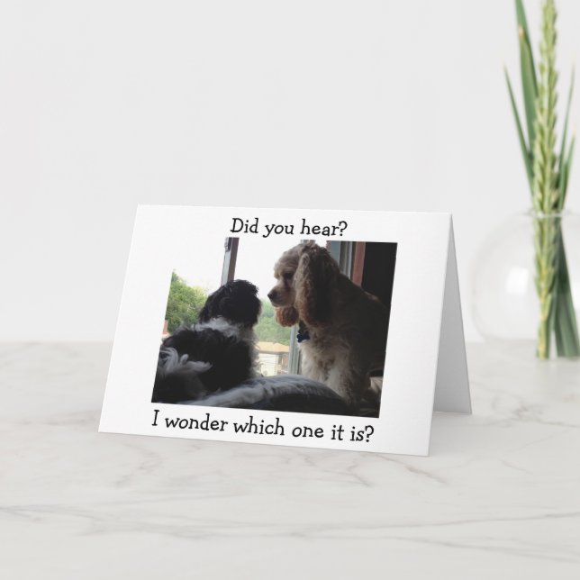 CARTE COCKER / HAVANESE DIT QUEL ANNIVERSAIRE EST-CE ? (Devant)