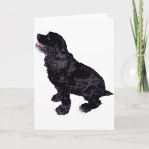 Carte Cocker Spaniel