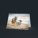 Carte Cockerspaniel de Birthday<br><div class="desc">Happy Birthday card featuring a photograph of a German Shepherd Dog Alsatian and a Cockerspaniel running happily along a beach together playing. They are best friends having fun together playing with their ball.</div>
