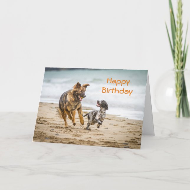 Carte Cockerspaniel de Birthday (Devant)