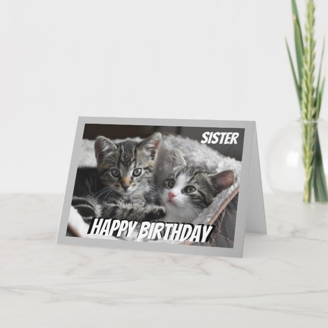 Carte Coeur amusant pour coeur soeur Anniversaire Chat A (Devant)