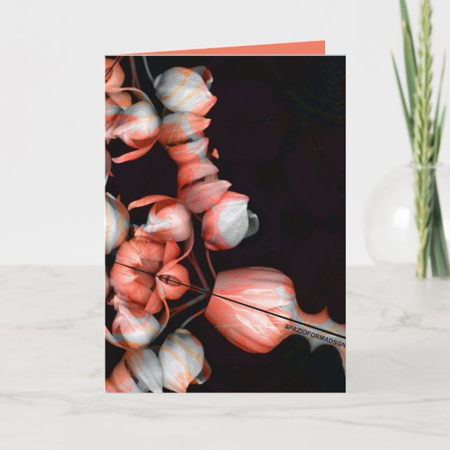 Carte "Cœur blanc en noir du soleil" & Indifférence (Devant)