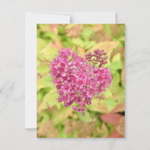 Carte Cœur de fleur naturel - percé par une flèche.