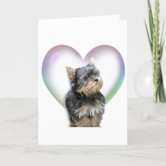 Carte Coeur de Yorkie