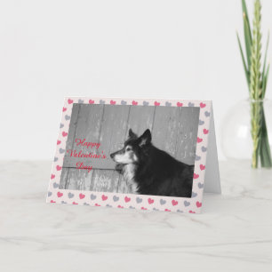 Carte Coeur Heureuse Sainte-Valentin Collie Bordur