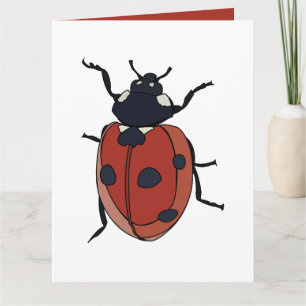 Carte Coléoptères Insecte Coccinelle Coléoptères