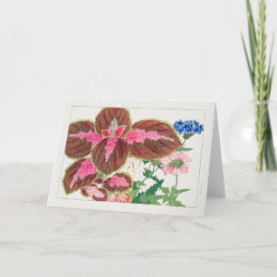 Carte Coleus, Verbena par Tanigami Konan