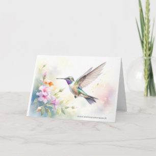 Carte Colibri