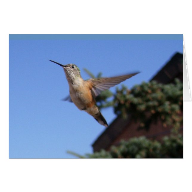 Carte Colibri (Devant horizontal)