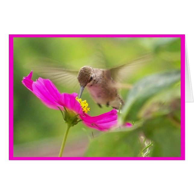 Carte Colibri (Devant horizontal)