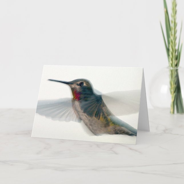 Carte Colibri à gorge rouge (Devant)