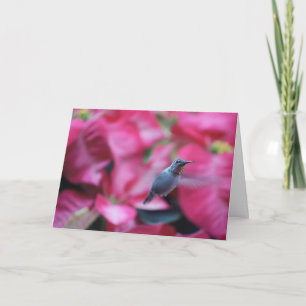 Carte Colibri avec arrière - plan poinsettia