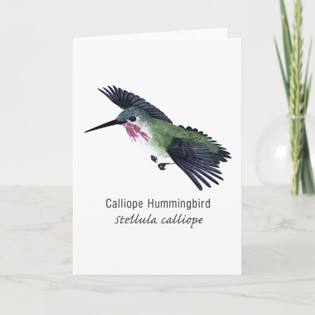 Carte Colibri de Calliope portant le nom (Devant)