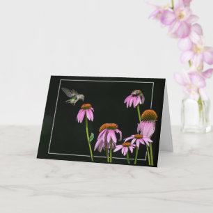 Carte Colibri Et Abeille Partagent Coneflower