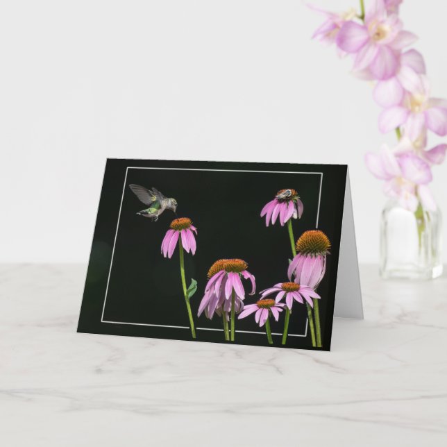 Carte Colibri Et Abeille Partagent Coneflower (Orchidée)