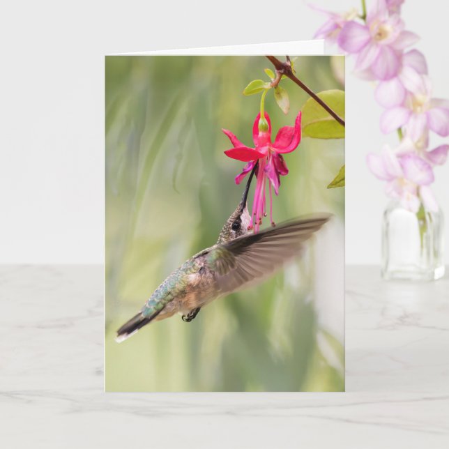Carte Colibri favori Fuchsia (Orchidée)