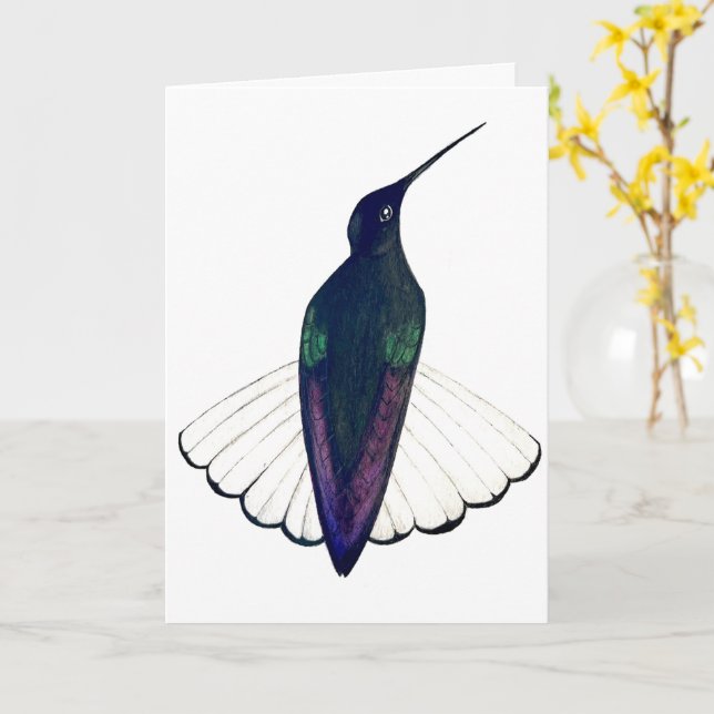Carte Colibri Jacobin noir (Fleur jaune)