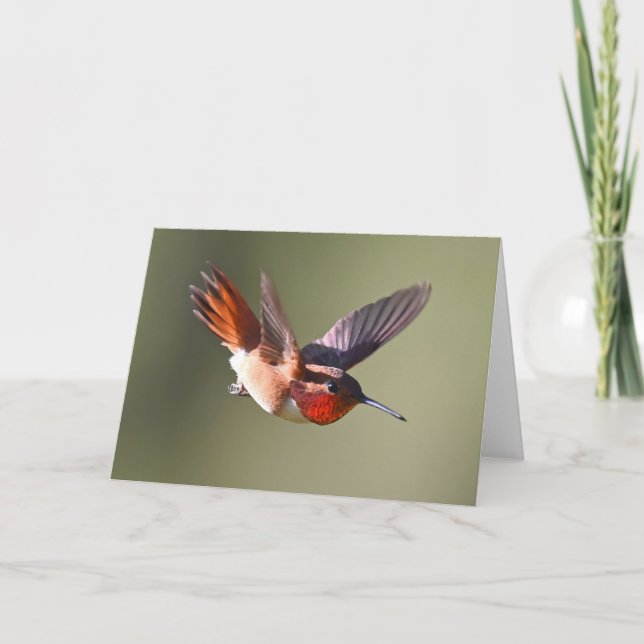 Carte Colibri roux en vol (Devant)