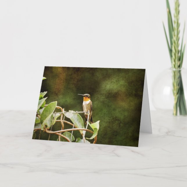 Carte Colibri Ruby Throsé (Devant)