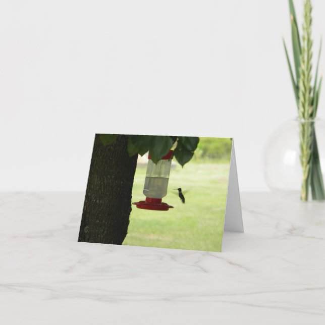 Carte Colibri solitaire (Devant)