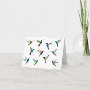 Carte Colibri tropical