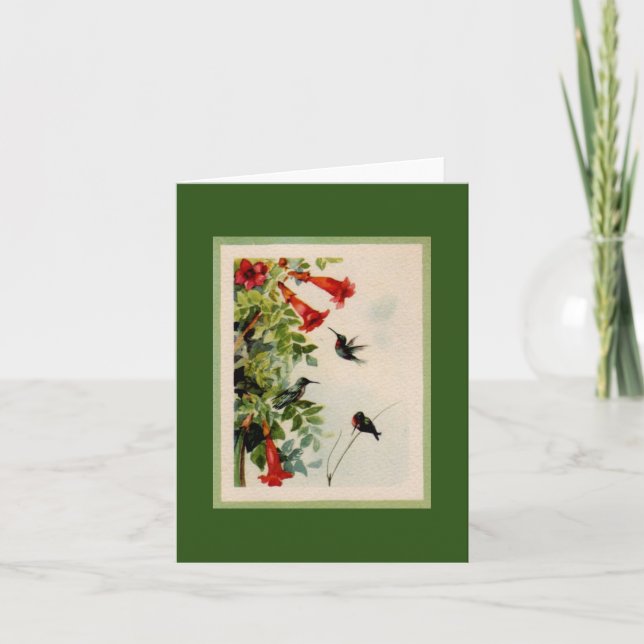 Carte Colibri vintage (Devant)