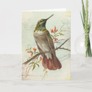 Carte Colibri Vintage, Anniversaire