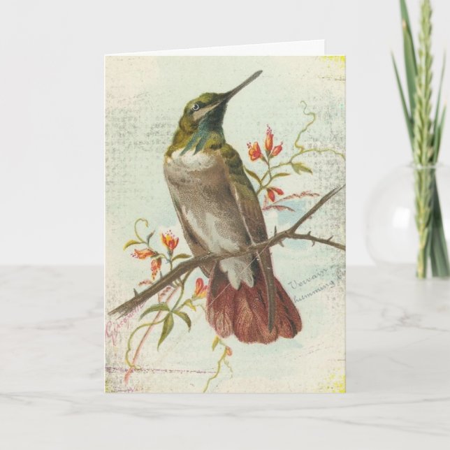 Carte Colibri Vintage, Anniversaire (Devant)