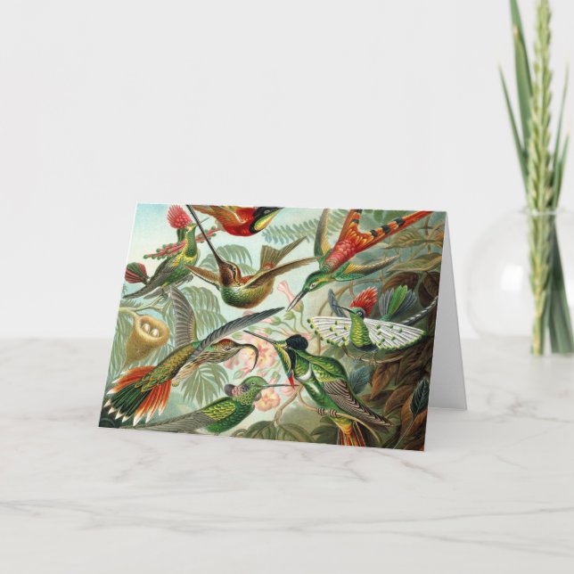 Carte Colibris (Devant)