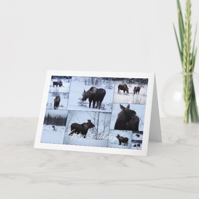 Carte Collage d'orignaux ; Joyeux anniversaire (Devant)