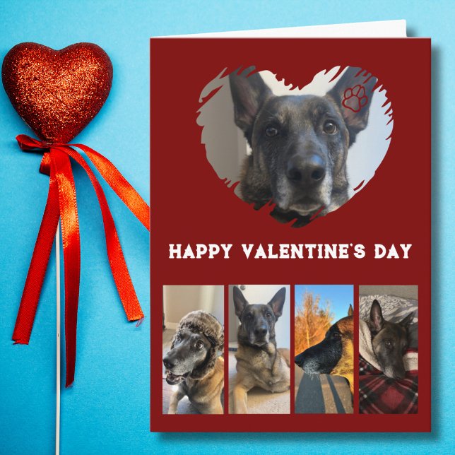 Carte Collage photo de chien mignon, simple Saint Valent (Créateur téléchargé)
