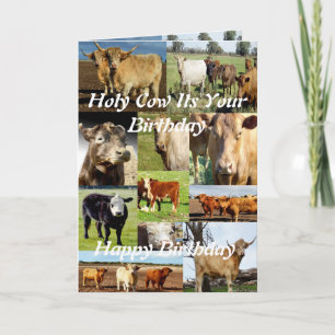 Carte Collage photo de vache, Anniversaire