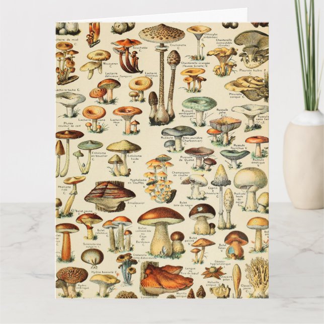 Carte Collection de champignons (Devant)